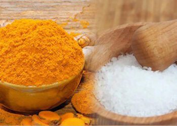 ದಯವಿಟ್ಟು ಈ 5 ವಸ್ತುಗಳನ್ನು ಕಡ ತರಬೇಡಿ. ಕೊಡಬೇಡಿ : ದರಿದ್ರ ಬೆನ್ನು ಹತ್ತೀತು