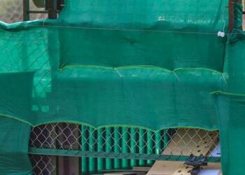 ಆಶಾ ಗರ್ಭಿಣಿ : ಚೀತಾ ಪ್ರೇಮಿಗಳಿಗೆಲ್ಲ ಖುಷಿ