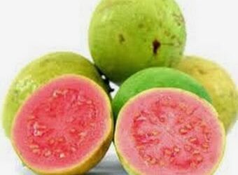 ಸೀಬೆ ಹಣ್ಣಿನ ತಾಕತ್ತು.. ತಿಂದವರಿಗಷ್ಟೇ ಗೊತ್ತು..!