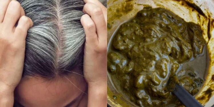 ಮೆಹಂದಿಯಲ್ಲಿದೆ ಮಹಾ ಔಷಧ : ತಿಳಿದರೆ ತಿಂಗಳಿಗೊಮ್ಮೆ ಹಾಕುವುದು ಶತಃಸಿದ್ಧ