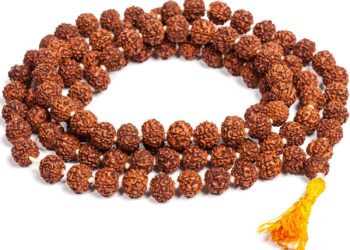 ಈ ಸಂದರ್ಭಗಳಲ್ಲಿ ಅಪ್ಪಿ ತಪ್ಪಿಯೂ ರುದ್ರಾಕ್ಷಿ ಧರಿಸಬೇಡಿ..