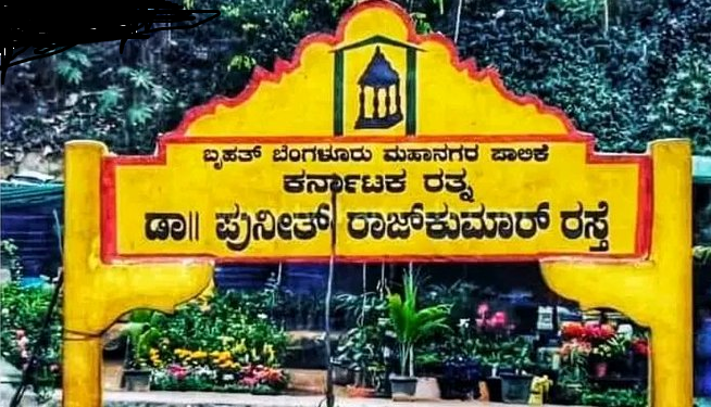 ಇಷ್ಟೊಂದು ಅಭಿಮಾನಿಗಳನ್ನು ದೇವರು ಕೊಟ್ಟಿರುವುದು ಒಳ್ಳೆಯ ಕೆಲಸ ಮಾಡುವುದಕ್ಕೆ : ರಾಘವೇಂದ್ರ ರಾಜ್ ಕುಮಾರ್
