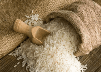 ಅಕ್ಕಿ ಬೆಲೆ ಕೆಜಿಗೆ 5 ರಿಂದ 10 ರೂ. ಏರಿಕೆ ಸಾಧ್ಯತೆ : ಅಕ್ಕಿ ಗಿರಣಿ ಮಾಲೀಕರ ವಾದವೇನು?