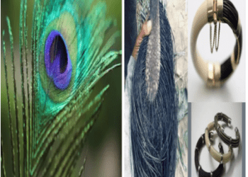 ಹುಲಿ ಉಗುರು ಬಿಟ್ಹಾಕಿ.. ನವಿಲು ಗರಿ, ಆನೆಬಾಲದ ಉಂಗುರ ಇದ್ದವರನ್ನೂ ಜೈಲಿಗೆ ಹಾಕಬಹುದು..!