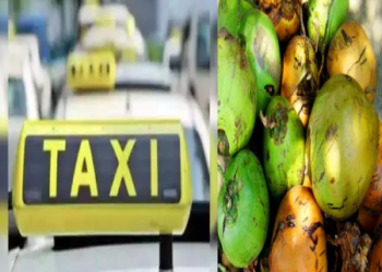 ಬೆಳಗ್ಗೆ ಡ್ರೈವರು.. ರಾತ್ರಿ ಆದರೆ ಎಳನೀರು ಕಳ್ಳ : ರಮ್ಮಿ ಆಡಿ ದುಡ್ಡು ಕಳ್ಕೊಂಡವನು ಕಳ್ಳನಾದ..!