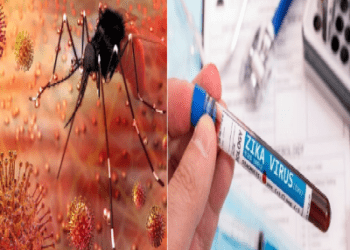 ಮತ್ತೆ ಬಂತಾ ಕೊರೊನಾ ಕಾಲ ? ಝೀಕಾ ವೈರಸ್‌ ಕಾಣಿಸಿಕಂಡ್ರೆ 5 ಕಿ.ಮೀ. ಕಂಟೈನ್ಮೆಂಟ್‌ ಝೋನ್‌