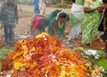 ಹಾವಿನ ಹುತ್ತಕ್ಕೆ ಕೋಳಿ ರಕ್ತ ನೈವೇದ್ಯ, ಮೊಟ್ಟೆ ಹರಕೆ ಮಾಡಿದ್ರೆ ಹಾವು ಕಚ್ಚಲ್ವಂತೆ..!