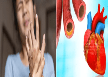 ಹೃದಯಕ್ಕೆ ರಕ್ತನಾಳ ಬಂದ್‌ ಆಗುತ್ತಿದ್ದರೆ ಕೈ ಬೆರಳುಗಳೇ ಕೊಡುತ್ತವೆ ಸಿಗ್ನಲ್..!