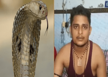 40 ದಿನದಲ್ಲಿ 7 ಬಾರಿ ಕಚ್ಚಿದ ನಾಗರಹಾವು : ಹಾವಿಗೆ ನೆನಪು ಇರಲ್ಲ ಅನ್ನೋ ಸೈನ್ಸು ಸುಳ್ಳಾ..?