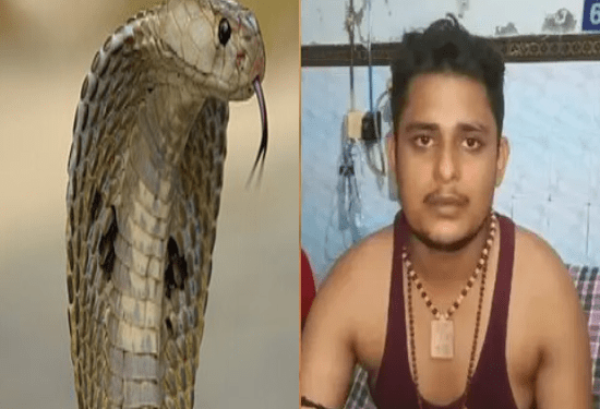 40 ದಿನದಲ್ಲಿ 7 ಬಾರಿ ಕಚ್ಚಿದ ನಾಗರಹಾವು : ಹಾವಿಗೆ ನೆನಪು ಇರಲ್ಲ ಅನ್ನೋ ಸೈನ್ಸು ಸುಳ್ಳಾ..?