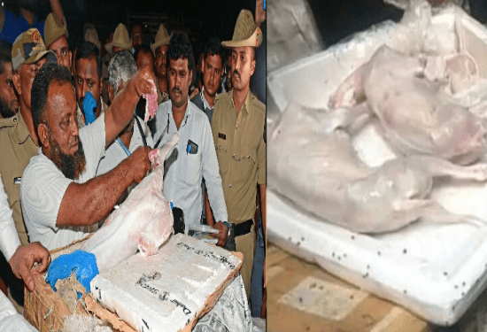 ಬೆಂಗಳೂರಿಗೆ ಬಂದಿದ್ದು ನಾಯಿ ಮಾಂಸ ಅಲ್ಲ. ಕುರಿ ಮಟನ್‌ : ಉದ್ದ ಬಾಲದ ಕುರಿಗಳೂ ಇವೆ ಗೊತ್ತಾ..?