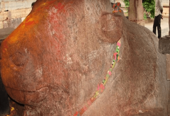 ಕಲಿಯುಗದ ಅಂತ್ಯ ಹೇಳುತ್ತೆ ಈ ನಂದಿ ವಿಗ್ರಹ : ಬೆಳೆಯುತ್ತಿರುವುದು ಸತ್ಯ..!