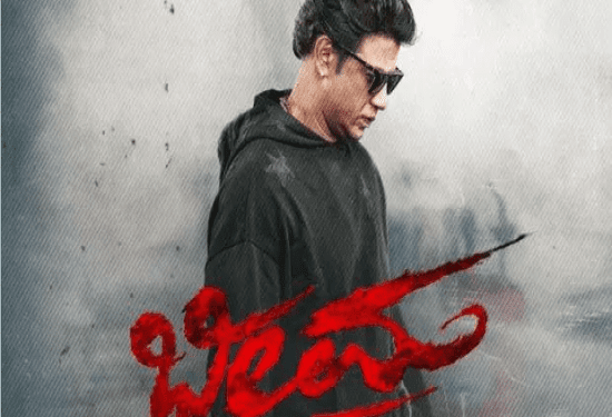 ಗೆದ್ದನಾ ಭೀಮ..? ಎಷ್ಟಾಯ್ತು ಕಲೆಕ್ಷನ್..?‌ ಮತ್ತೆ ಸಕ್ಸಸ್‌ ಕಂಡ್ರಾ ದುನಿಯಾ ವಿಜಯ್..?‌