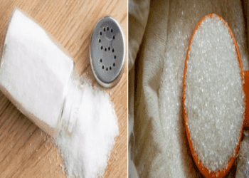 ನಾವು ತಿಂತಿರೋ ಉಪ್ಪು ಉಪ್ಪಲ್ಲ. ಸಕ್ಕರೆ.. ಸಕ್ಕರೆ ಅಲ್ಲ. ಬರೀ ಪ್ಲಾಸ್ಟಿಕ್‌ : ಸಂಶೋಧನಾ ವರದಿ ಹೇಳಿದ ಸತ್ಯ..!