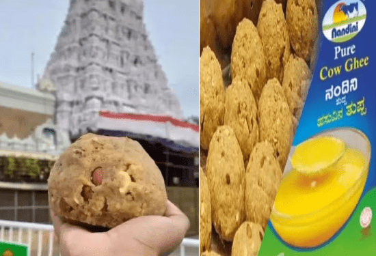 ತಿರುಪತಿ ಲಡ್ಡು ಈಗ ಸೇಫ್‌ : ತಿಮ್ಮಪ್ಪನ ಲಡ್ಡುಗೆ ಈಗ ನಂದಿನಿ ತುಪ್ಪದ ಹೆಸರೇ ಶಕ್ತಿ..!