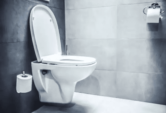 ಒಂದು ಟಾಯ್ಲೆಟ್ಟಿಗೆ ತಿಂಗಳಿಗೆ 25 ರೂ. ಟ್ಯಾಕ್ಸ್‌ : ಕಾಮಿಡಿ ಪೀಸ್‌ ಆಯ್ತು ಹಿಮಾಚಲ ಪ್ರದೇಶ್‌ ಕಾಂಗ್ರೆಸ್..!‌