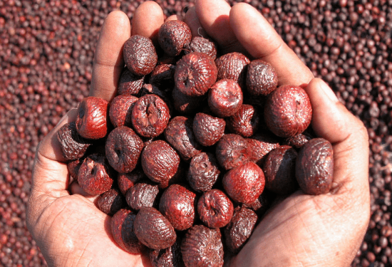 ಅಡಕೆ ಬೆಳೆಗಾರರಿಗೆ ವಿಶ್ವ ಆರೋಗ್ಯ ಸಂಸ್ಥೆ ಮತ್ತೊಮ್ಮೆ ಶಾಕ್‌ : ಅಡಕೆ, ಗುಟ್ಕಾ, ಪಾನ್‌ ಬೀಡಾ ಉದ್ಯಮಕ್ಕೆ ಟೆನ್ಷನ್..‌