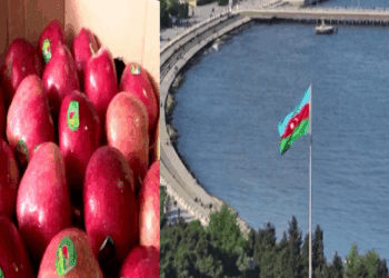 ನಮ್ಮ ಕೊಲೆಗೆ ನಾವೇ ದುಡ್ಡು ಕೊಟ್ಟು ಸುಪಾರಿ ಕೊಡ್ತೇವೆ : ಆಪರೇಷನ್‌ ಸಿಂದೂರದಿಂದ ಗೊತ್ತಾದ ಸತ್ಯ..!