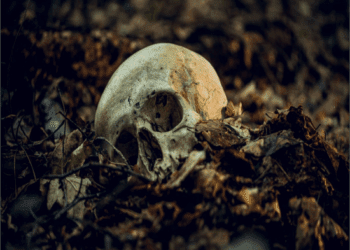 ಧರ್ಮಸ್ಥಳದಲ್ಲೀಗ ತಲೆ ಬರುಡೆ ಹೋರಾಟ : ಯೂಟ್ಯೂಬರ್ಸ್‌ ಶಾಕ್..!‌