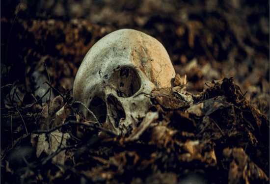 ಧರ್ಮಸ್ಥಳದಲ್ಲೀಗ ತಲೆ ಬರುಡೆ ಹೋರಾಟ : ಯೂಟ್ಯೂಬರ್ಸ್‌ ಶಾಕ್..!‌