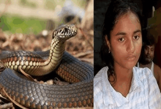 ಒಬ್ಬಳೇ ಹುಡುಗಿ.. 40 ದಿನ.. 10 ಸಲ ಹಚ್ಚಿದ್ದ ಸರ್ಪ ಅರೆಸ್ಟ್..!‌