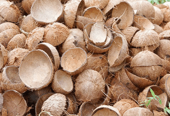 ತೆಂಗಿನಕಾಯಿ ಚಿಪ್ಪು ಕಸಕ್ಕೆ ಹಾಕಬೇಡಿ : ಕೆಜಿಗೆ 22 ರೂ.