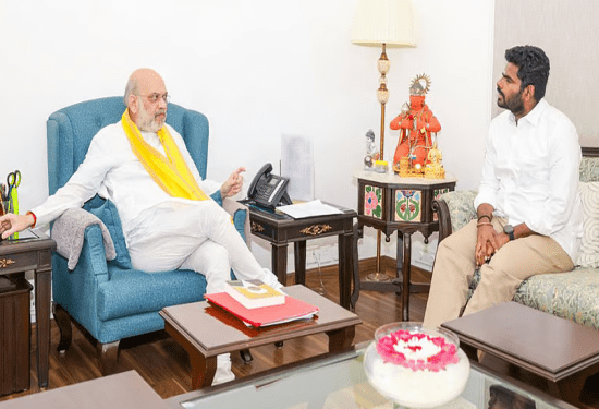 ಅಣ್ಣಾಮಲೈಗೆ ಮೋಸ ಮಾಡಿದ್ರಾ ಮೋದಿ, ಅಮಿತ್‌ ಶಾ..?