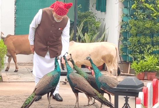 ಮೋದಿಯ ʻಕ್ಲೋಸ್‌ ಫ್ರೆಂಡ್ಸ್‌ʼ ಪ್ರಧಾನಿ ನಿವಾಸದಲ್ಲೇ ಇದ್ದಾರೆ : ಯಾರು ಹೇಳಿ..?